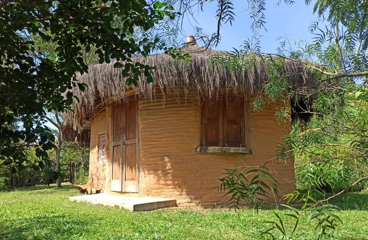 Sitio Monte Alegre Hotel Ibicoara Exterior foto